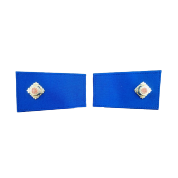 APM EPAULETTE 1 PIP METAL
